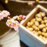 節分の炒り大豆と立春の桜