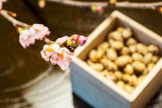 節分の炒り大豆と立春の桜