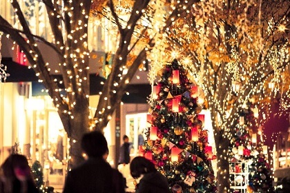 12月にやってくるクリスマスのツリー